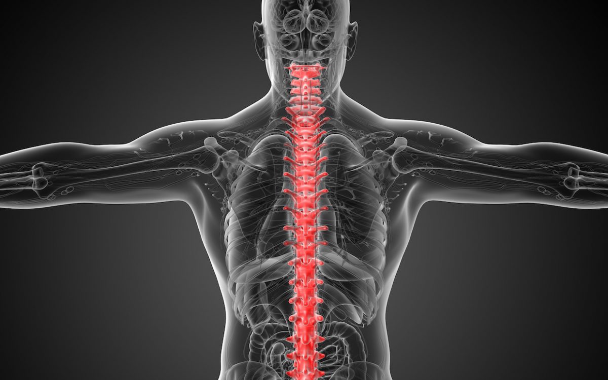 10 (falsi) miti sul mal di schiena lombare